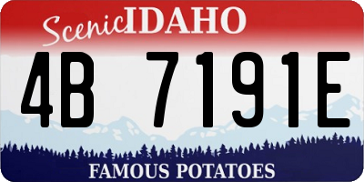 ID license plate 4B7191E