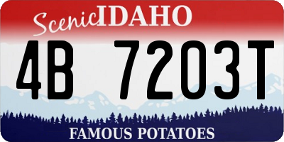 ID license plate 4B7203T