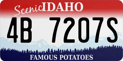 ID license plate 4B7207S