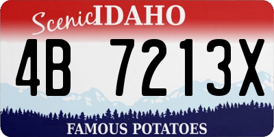 ID license plate 4B7213X