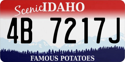 ID license plate 4B7217J