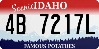 ID license plate 4B7217L
