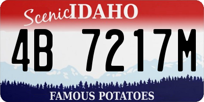ID license plate 4B7217M