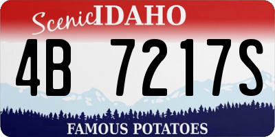 ID license plate 4B7217S