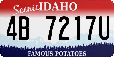 ID license plate 4B7217U