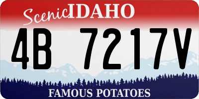 ID license plate 4B7217V