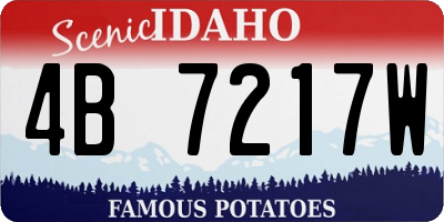 ID license plate 4B7217W