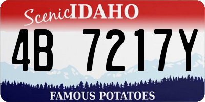 ID license plate 4B7217Y