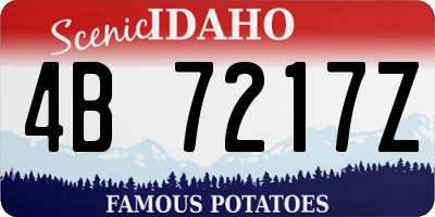ID license plate 4B7217Z