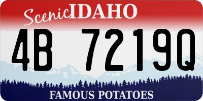 ID license plate 4B7219Q