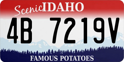 ID license plate 4B7219V