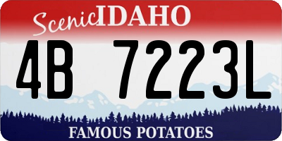 ID license plate 4B7223L