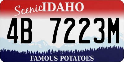 ID license plate 4B7223M