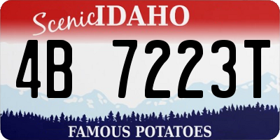 ID license plate 4B7223T