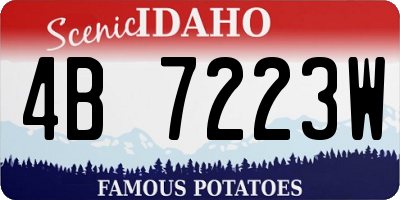 ID license plate 4B7223W