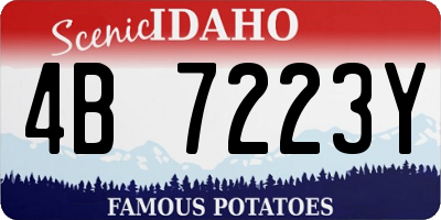 ID license plate 4B7223Y