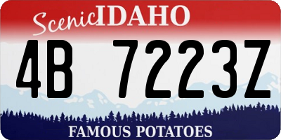 ID license plate 4B7223Z