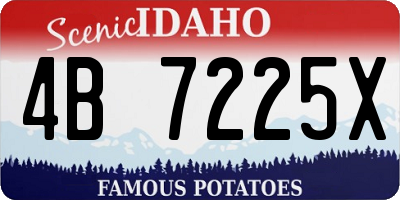 ID license plate 4B7225X
