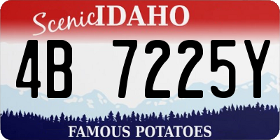 ID license plate 4B7225Y
