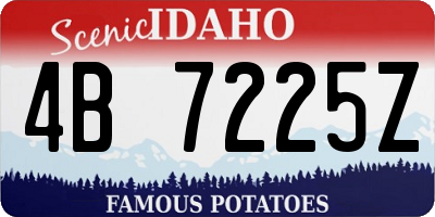 ID license plate 4B7225Z