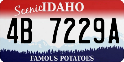 ID license plate 4B7229A