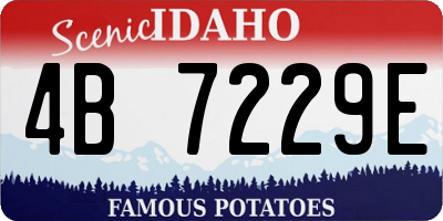 ID license plate 4B7229E