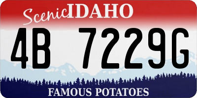 ID license plate 4B7229G