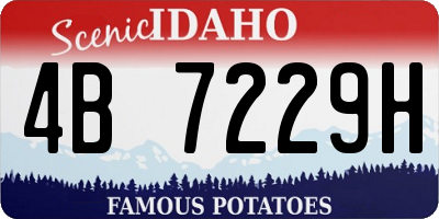 ID license plate 4B7229H