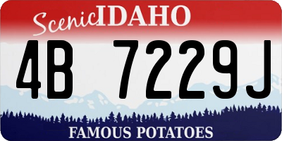 ID license plate 4B7229J