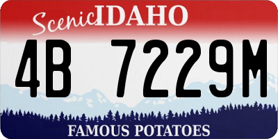 ID license plate 4B7229M
