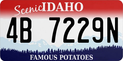 ID license plate 4B7229N