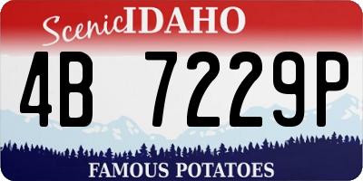 ID license plate 4B7229P