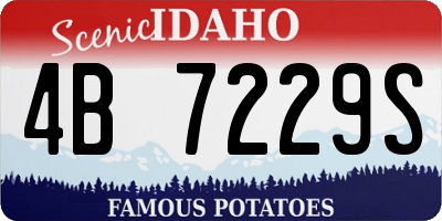ID license plate 4B7229S