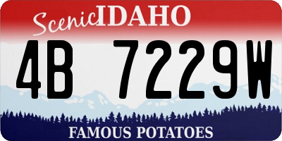 ID license plate 4B7229W