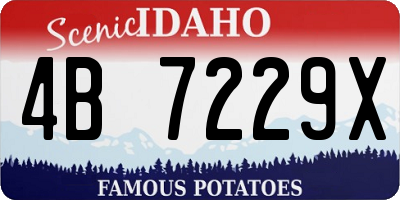 ID license plate 4B7229X