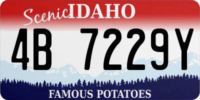 ID license plate 4B7229Y