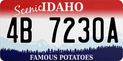 ID license plate 4B7230A