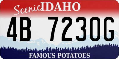 ID license plate 4B7230G