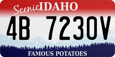 ID license plate 4B7230V