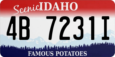 ID license plate 4B7231I