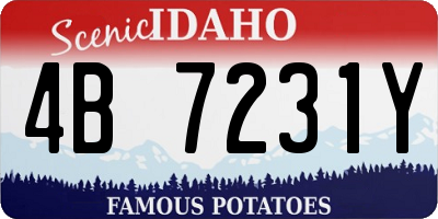 ID license plate 4B7231Y