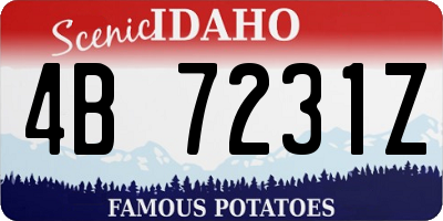 ID license plate 4B7231Z