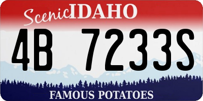 ID license plate 4B7233S