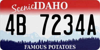 ID license plate 4B7234A