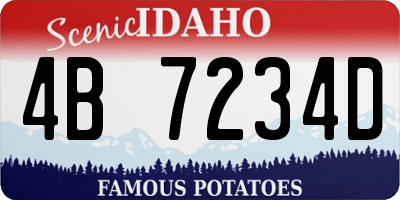 ID license plate 4B7234D