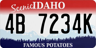 ID license plate 4B7234K
