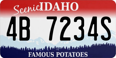 ID license plate 4B7234S