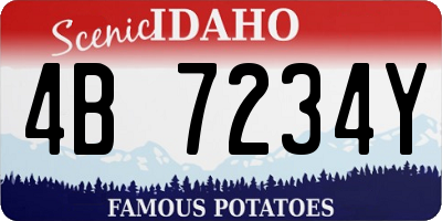 ID license plate 4B7234Y