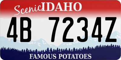 ID license plate 4B7234Z