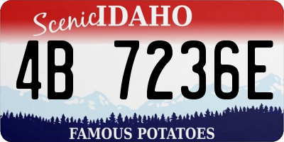 ID license plate 4B7236E